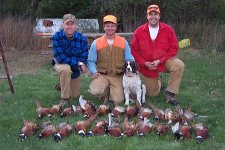 Self Guided Pheasant Hunting